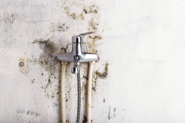 Best Mold Cleaning Services  in Fairchance, PA