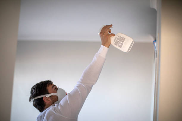 Best Emergency Mold Removal  in Fairchance, PA