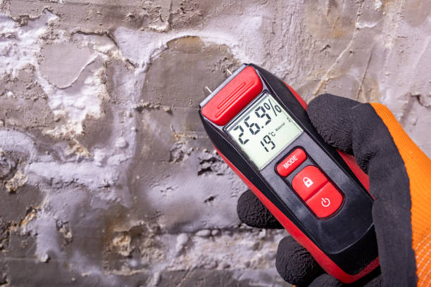 Best Fast Mold Removal  in Fairchance, PA