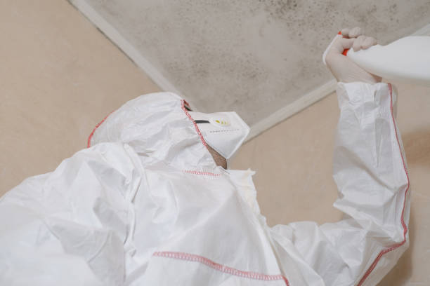Best Fast Mold Removal  in Fairchance, PA