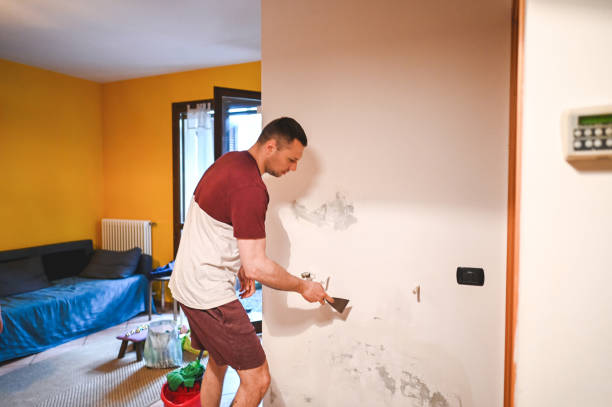 Mold Testing and Removal in Fairchance, PA