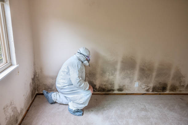 Water Damage Restoration in Fairchance, PA