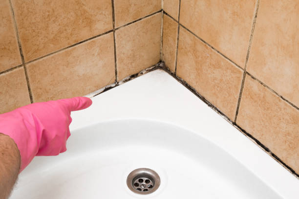Best Mold Testing  in Fairchance, PA